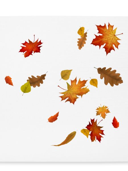 Herbstblätter - Bunt wirbelndes Laub