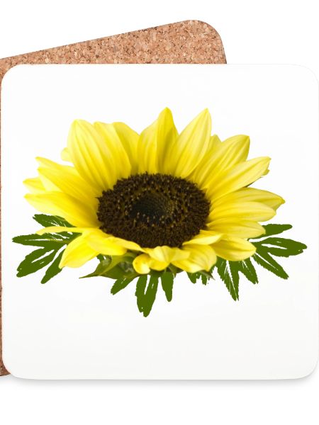 Sonnenblume