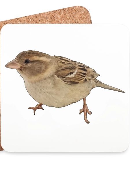 Vogel