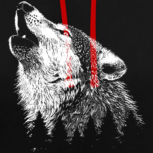 Wilder Wolf | Wildsnis und Natur | Tier Bild