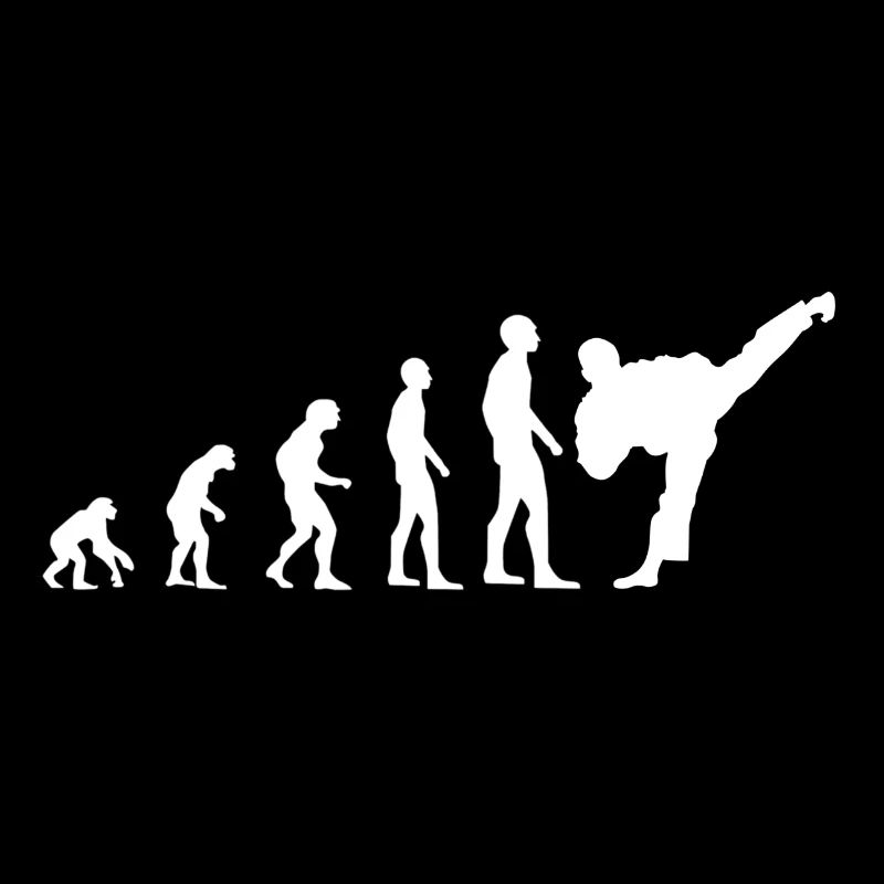 Karate Evolution