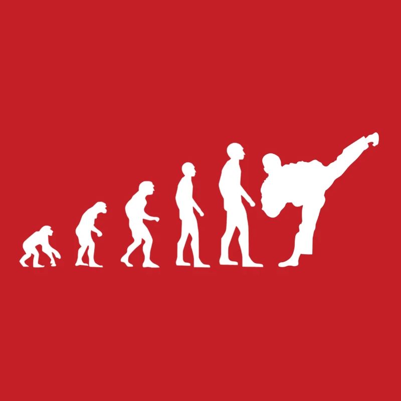 Karate Evolution