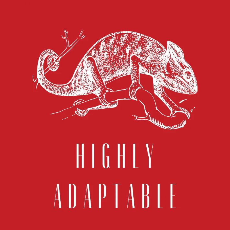 Highly Adaptable Chameleon Growth Mindset
