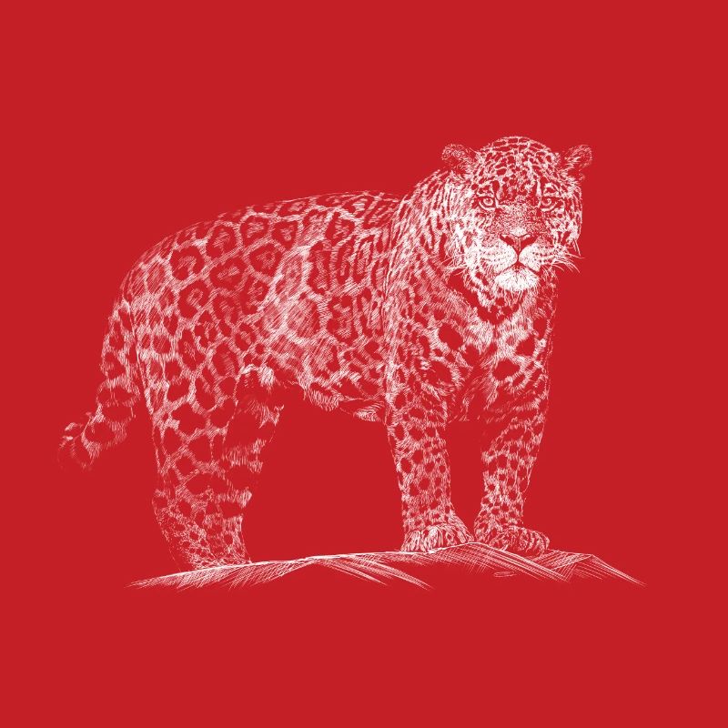 Léopard