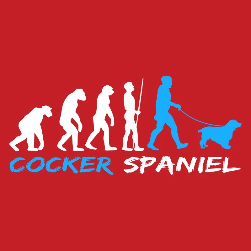 Cocker anglais Cocker Spaniel Chien Evolution