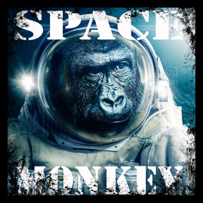 Singe de l'espace