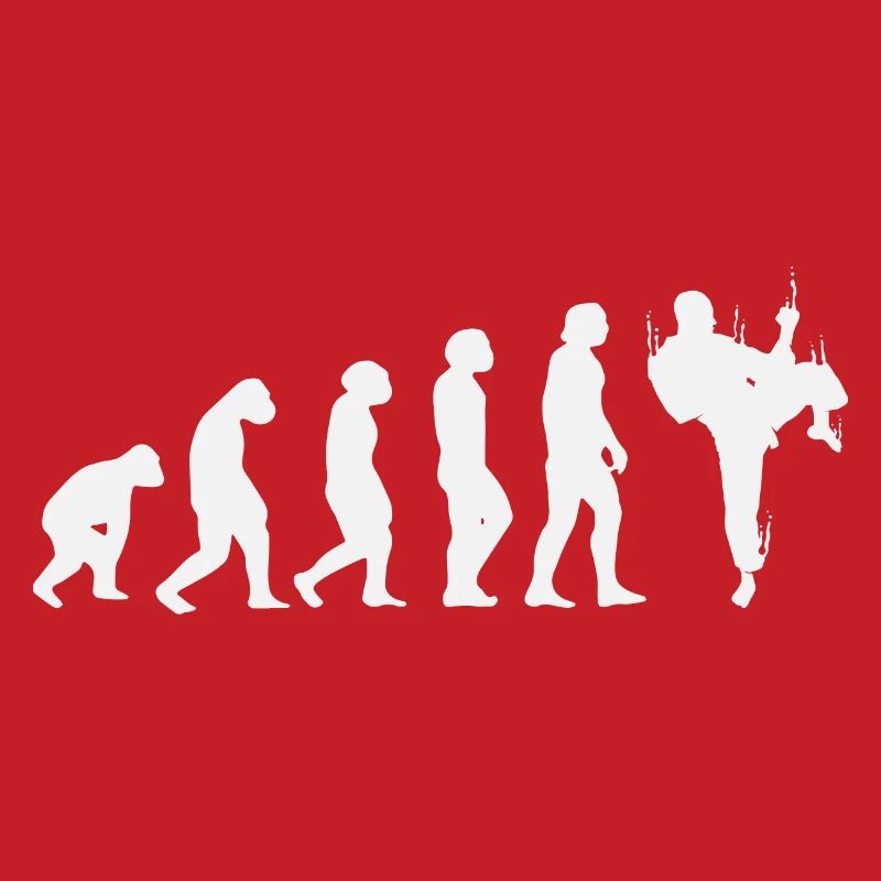 Évolution du karaté