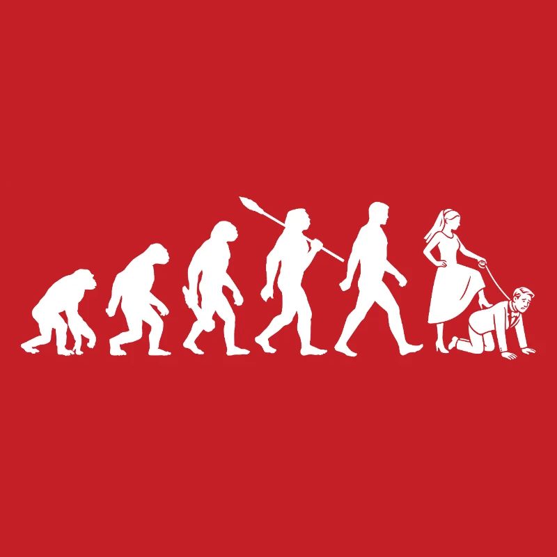 Bachelor Party - Evolution Bachelor