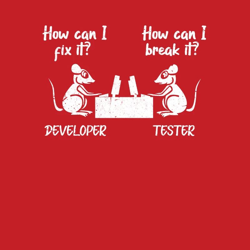software developer