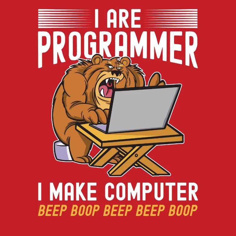 i am a programmer