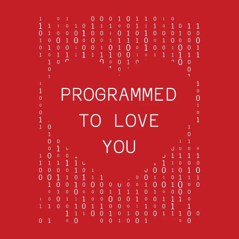 Developer Coder Programmer