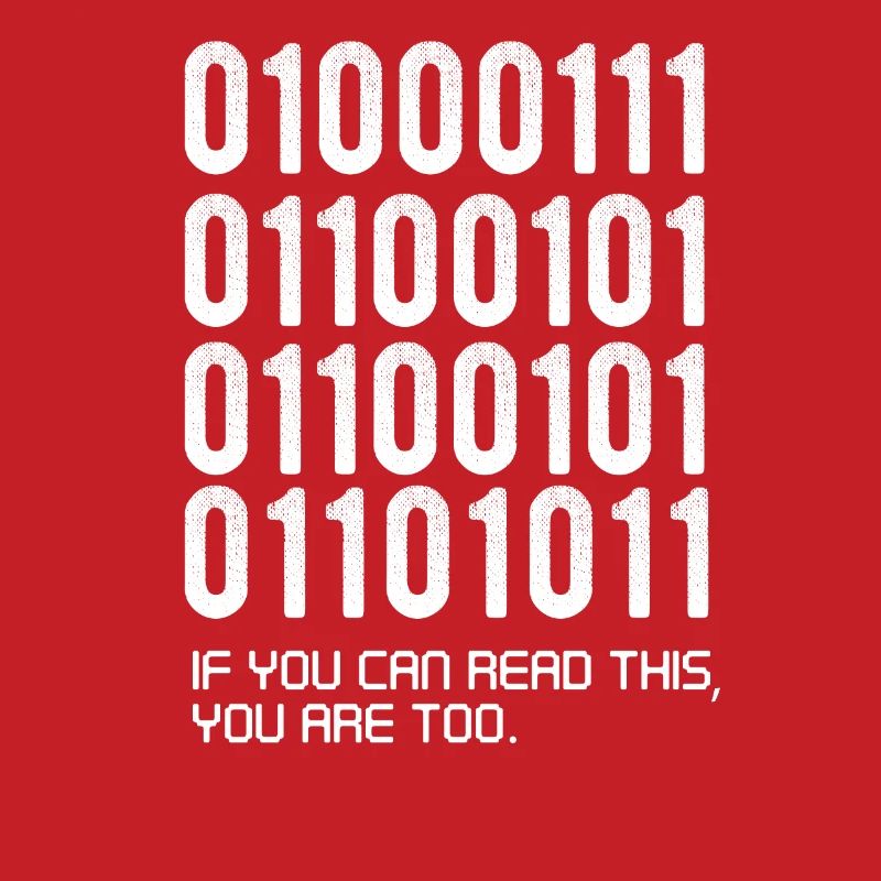 Funny Softaware developer gift, binary funny,