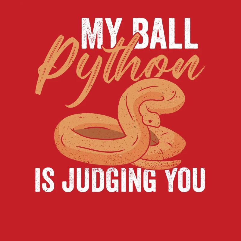 Python Königspython Banana Ball Python