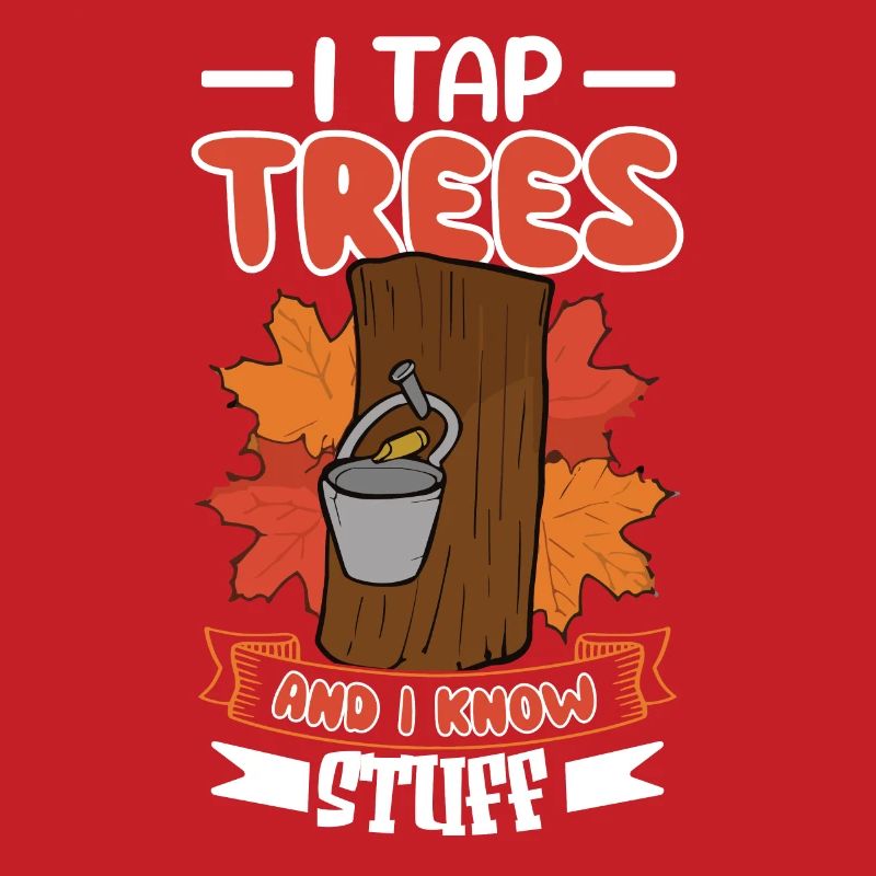 Tradition et cônes de Maple Sirop Canada