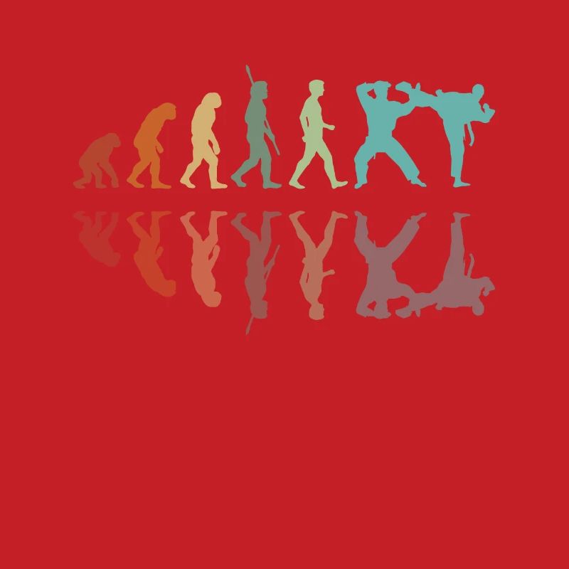 Karate Evolution