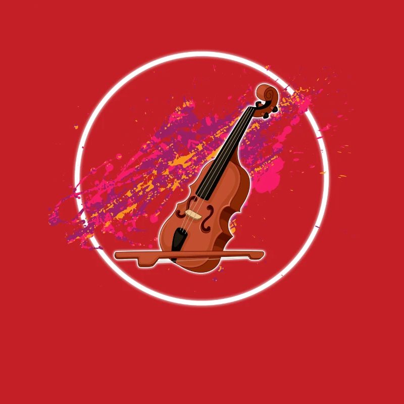 violin instruments