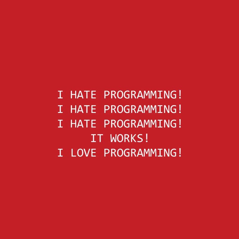 Funny saying Programming Computer Scientist Coder