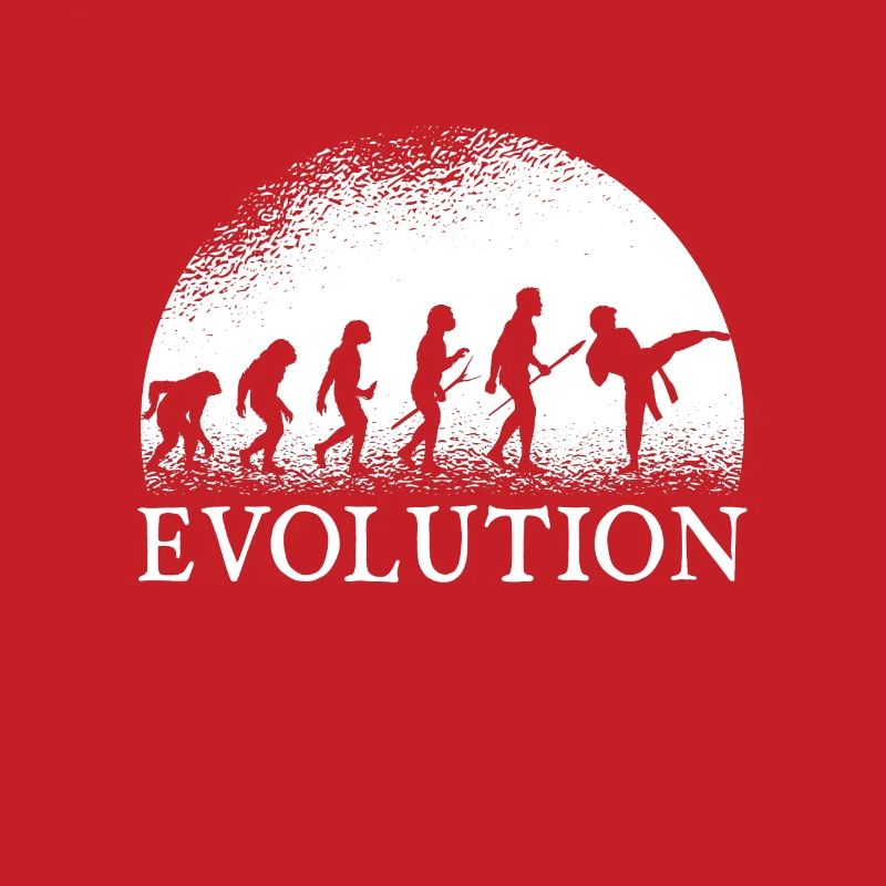 Karate Evolution