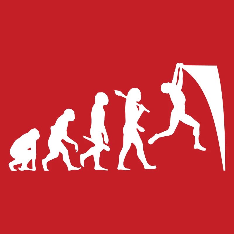 Evolution du guerrier ninja