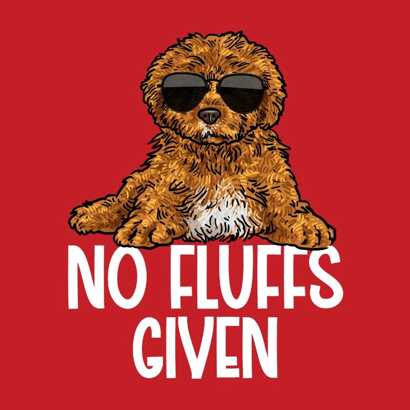 Cavapoo Cavoodle Capoodle Dog