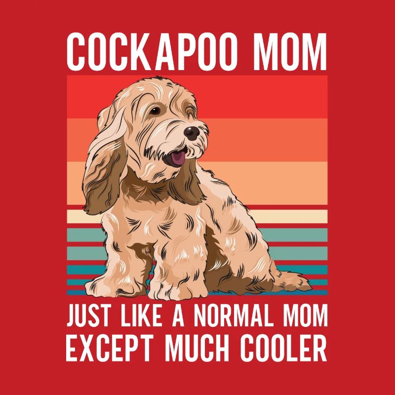 Cockapoo Chien