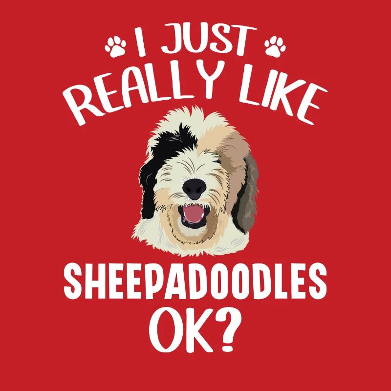 Sheepadoodle Doodle Hund
