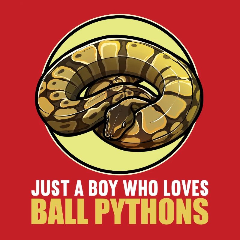 Ball Python Roi Python Roi Python