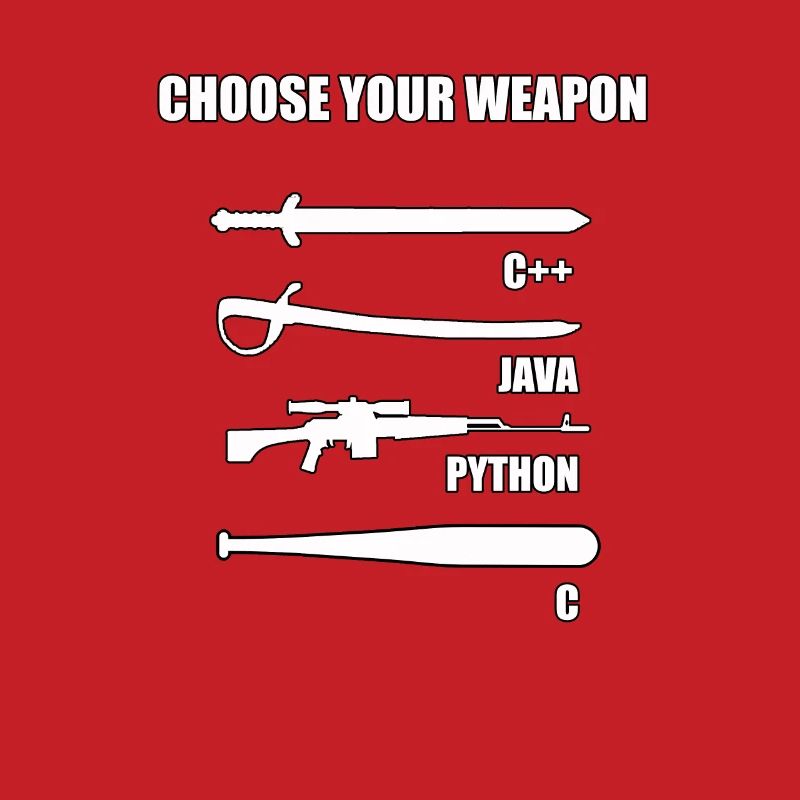 Funny developer IT theme for computer scientist