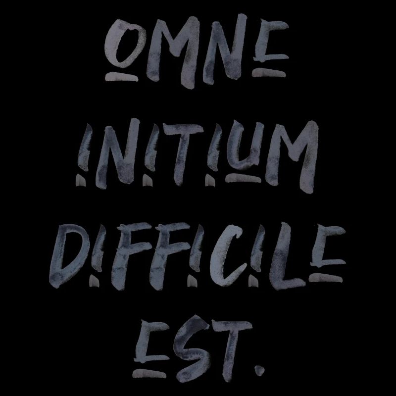 all beginning is difficult Latin quotation scripture