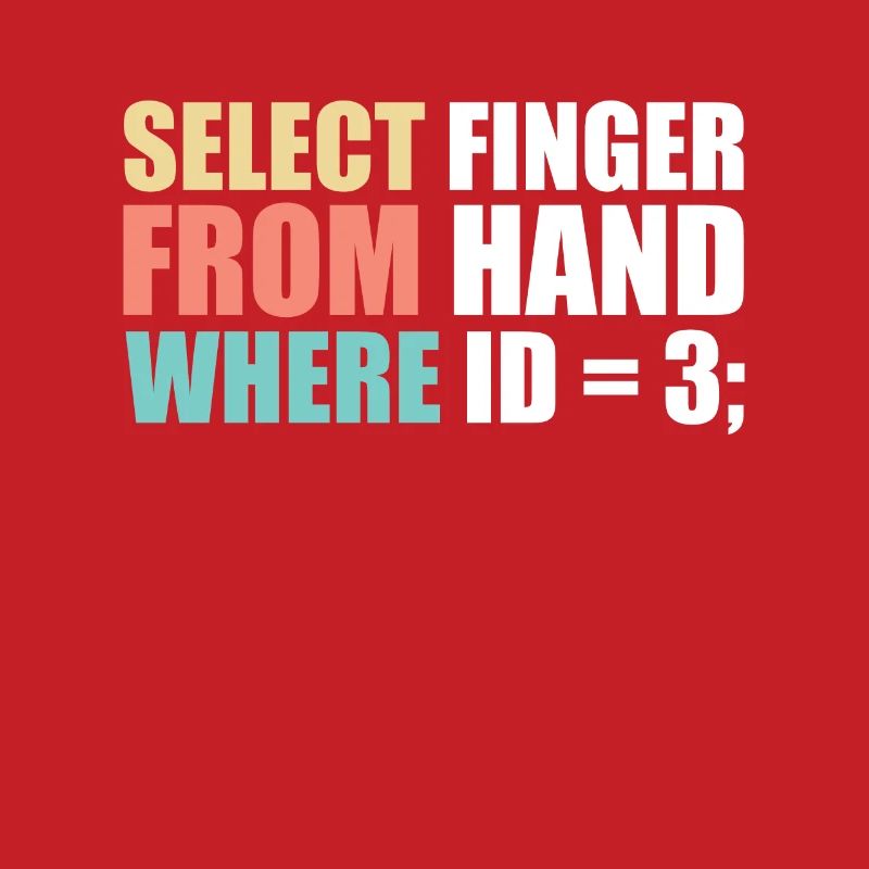 Computer scientist programmer