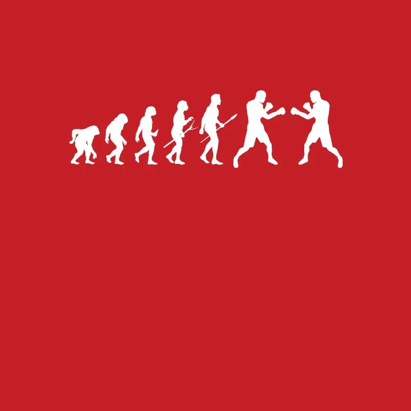 Evolution Boxboxer