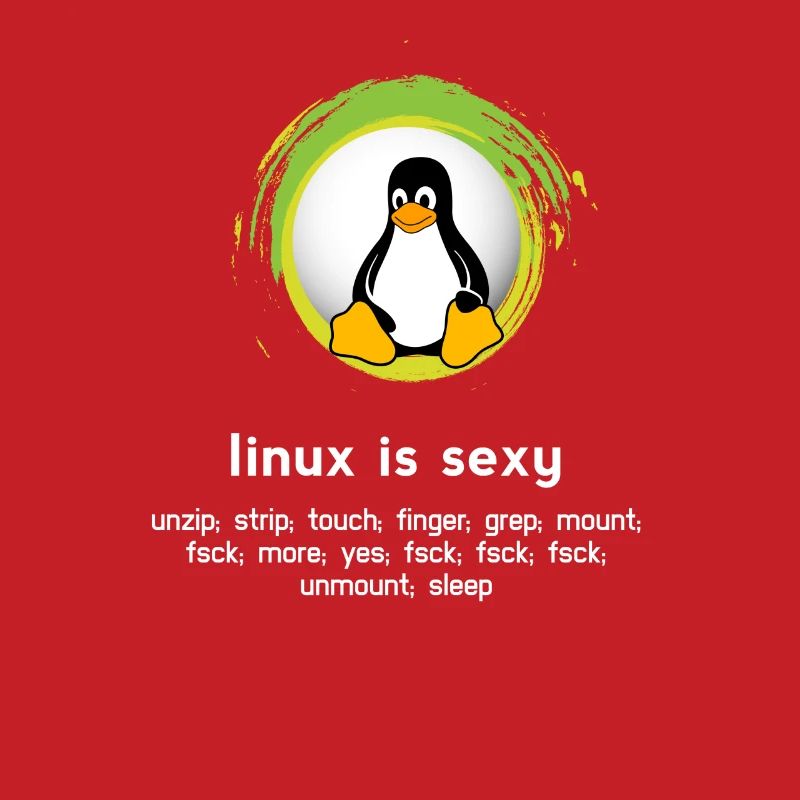 Computer System Penguin Nerd pc inside code admin