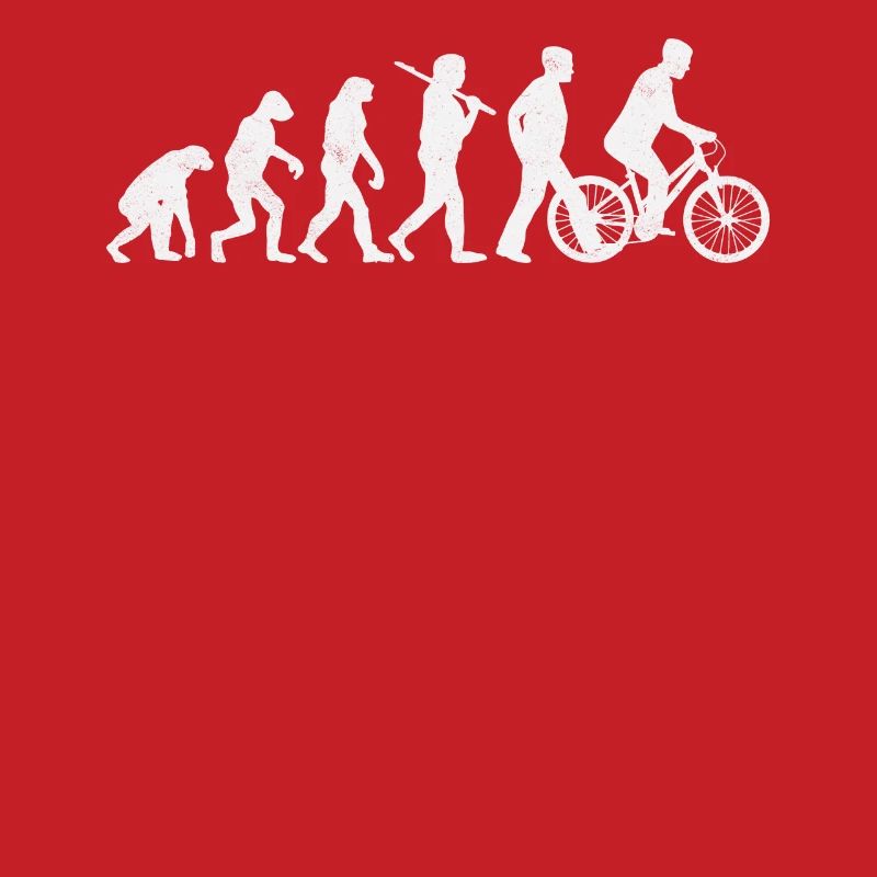 Roue cycliste Darwin Evolution