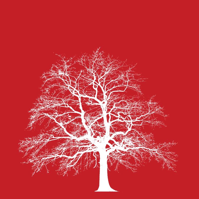 Baum