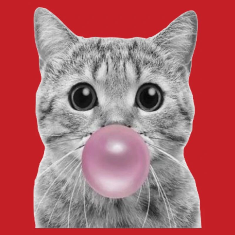 Bubble Katze