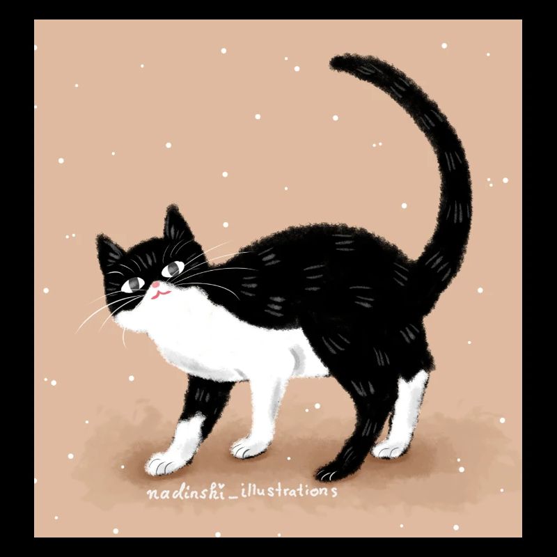 Chat