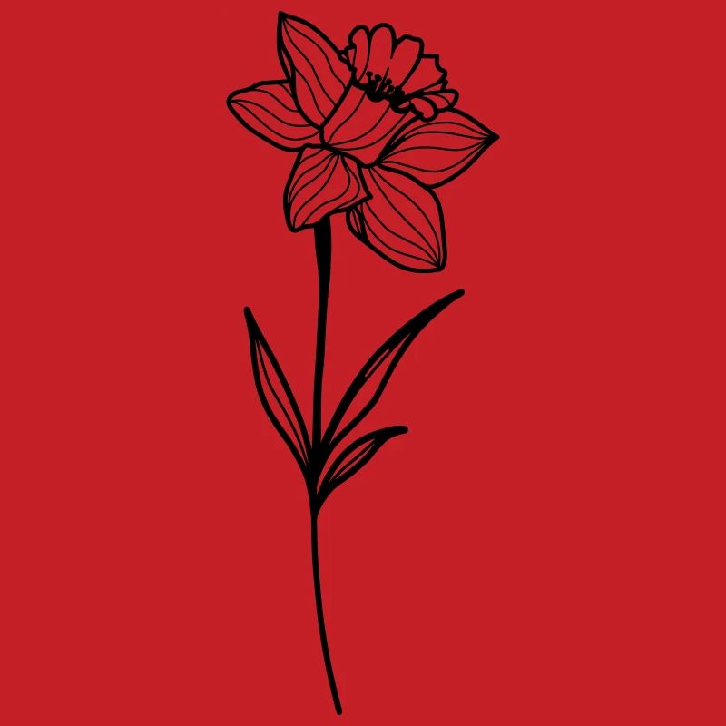 Narcissus, daffodil