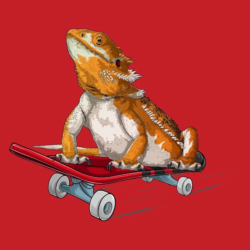 Bartdrache auf einem Skateboard