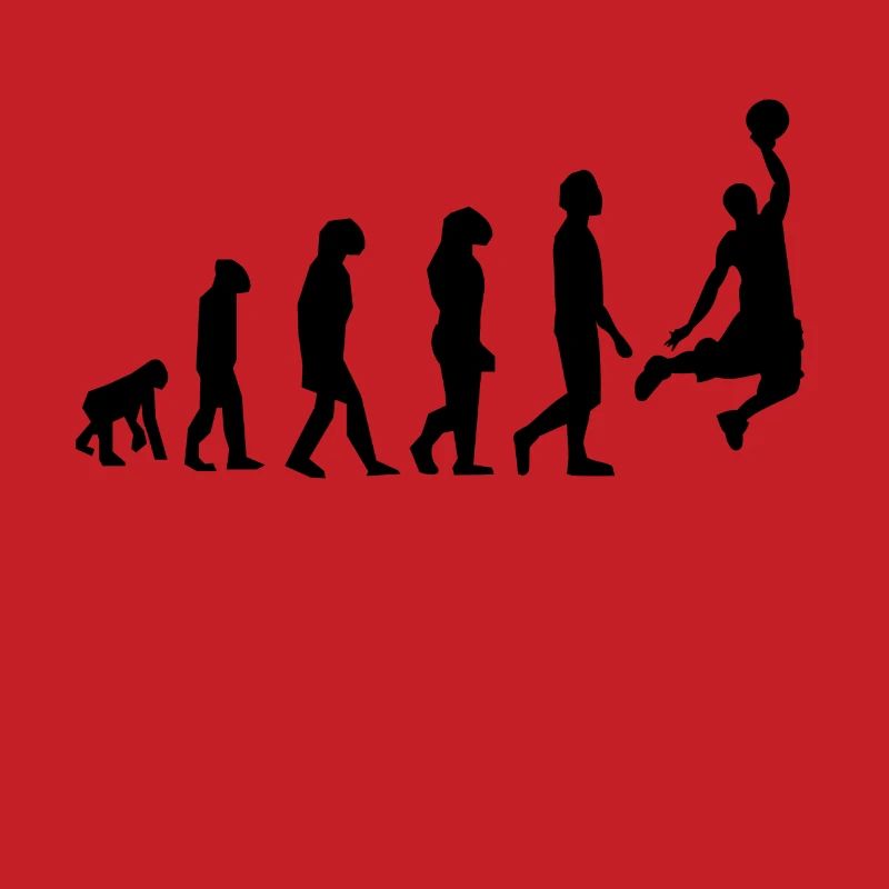 ÉVOLUTION BASKET