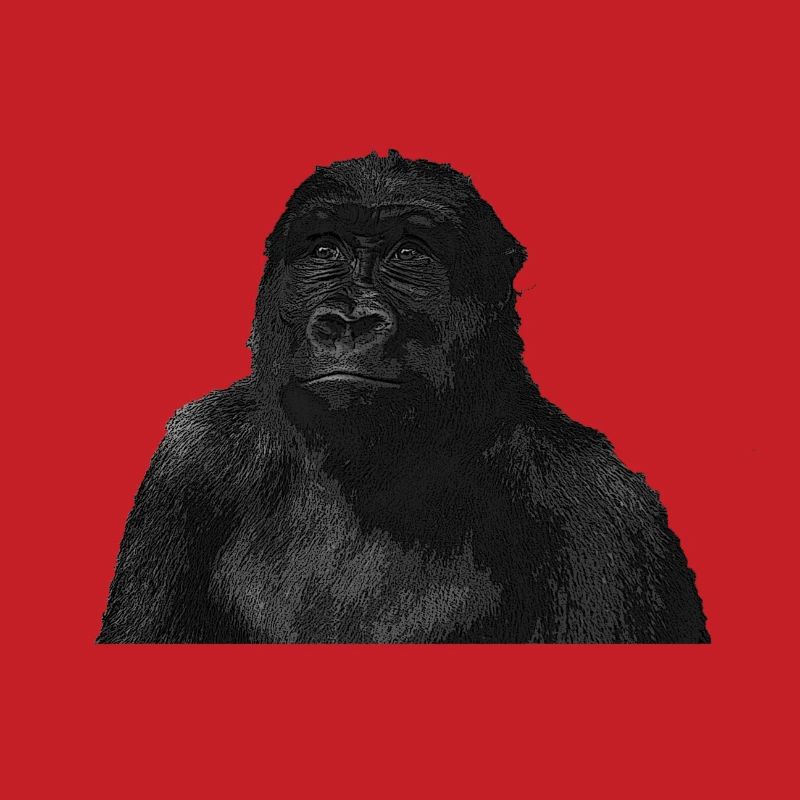 Affe