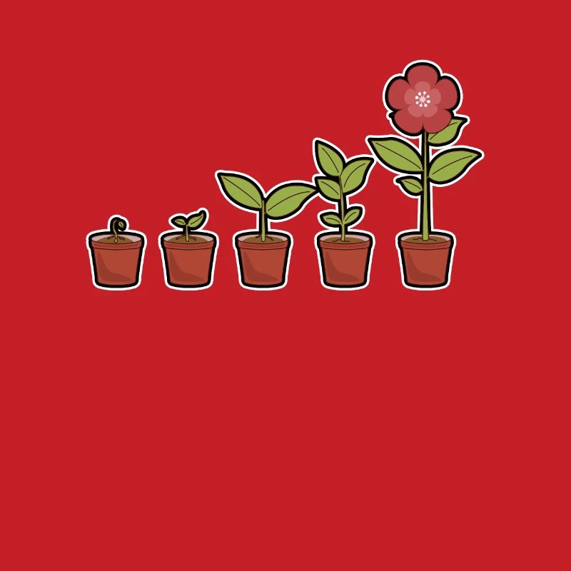 Evolution d'une fleur en fleurs dans le pot
