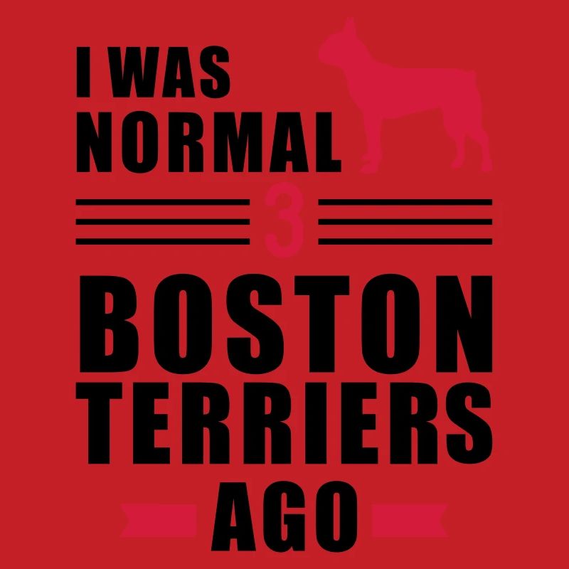 Boston Terrier