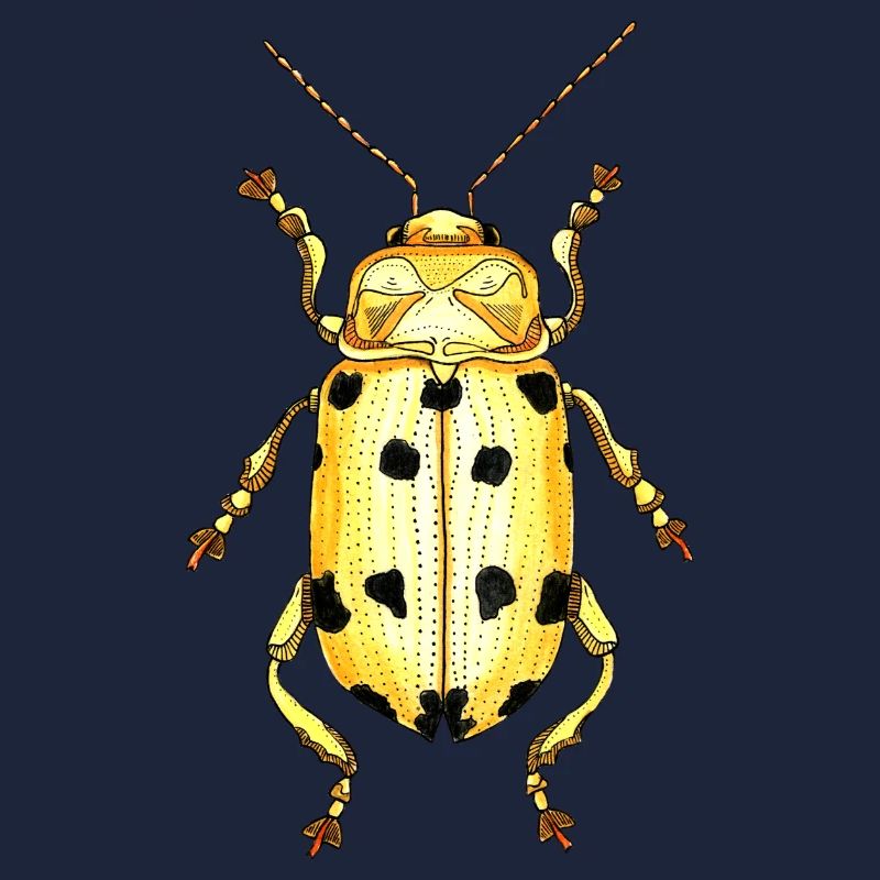 Big Beetle Stag - cerf géant