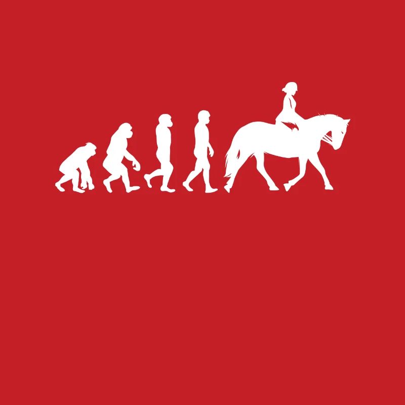 Evolution Chevaux Équitation Cavalier Cadeau