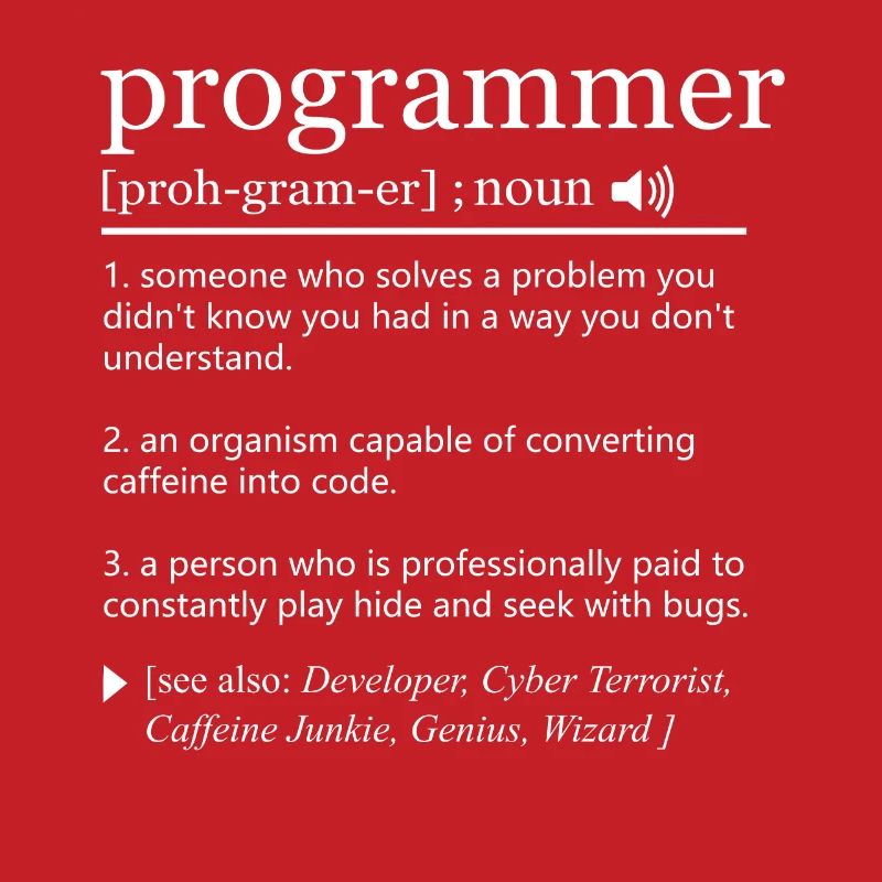 Programmer Definition