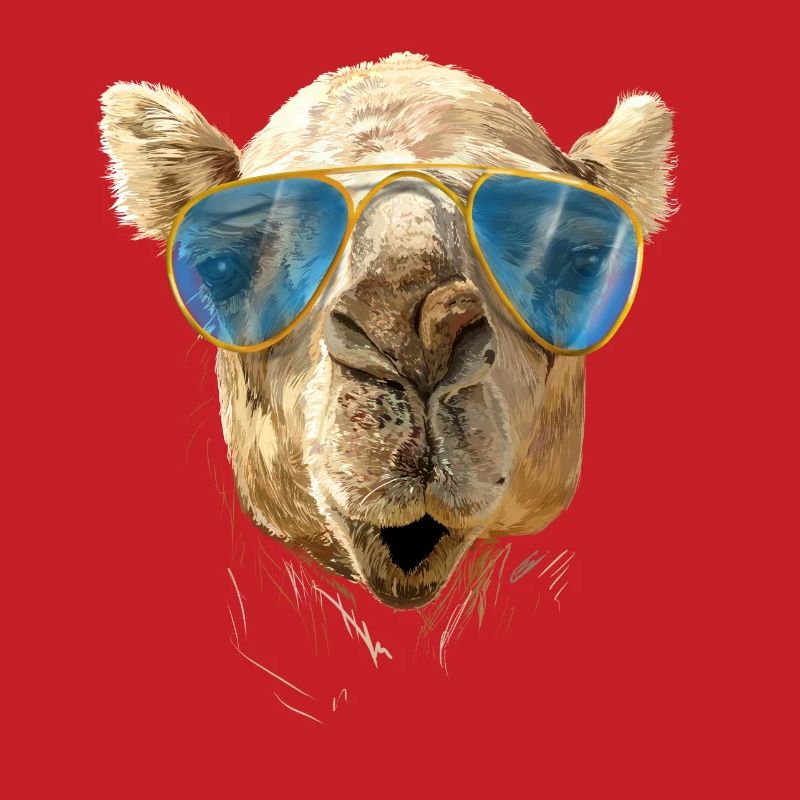 Kamel mit Sonnenbrille