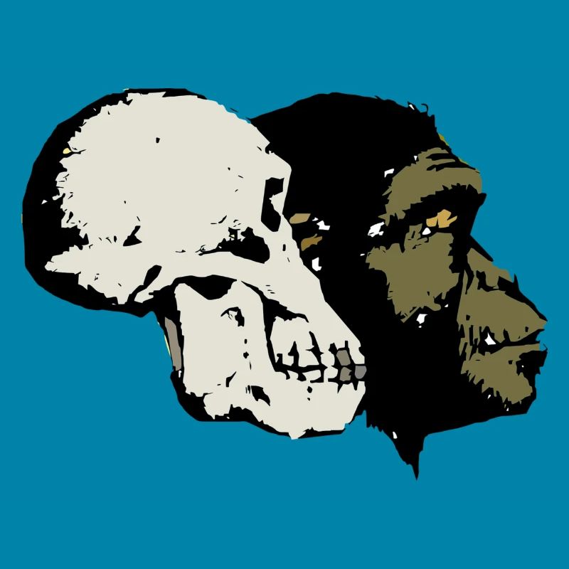 Evolution