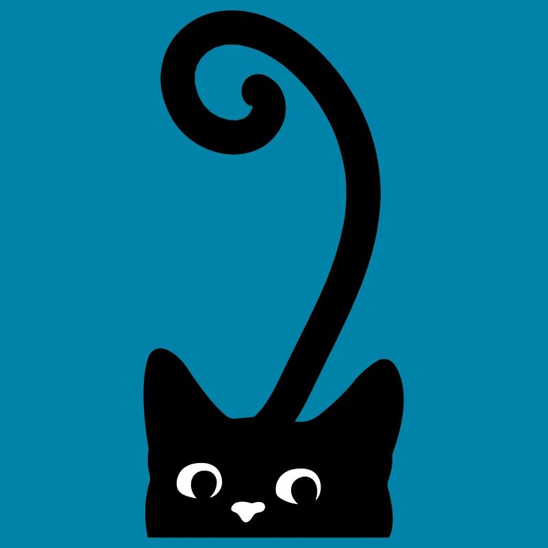 Chat curieux