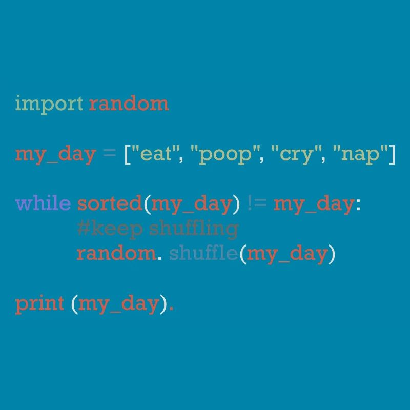 Funny python code about everyday life, baby