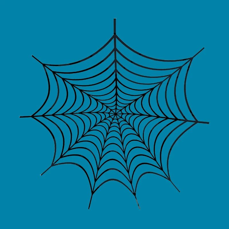 Spider Web Gift Spiderman Spider Web